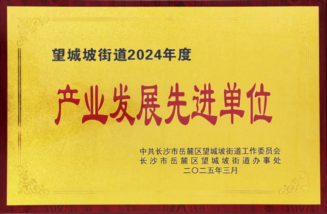 喜报！信盟科技长沙分公司荣获“产业发展先进单位”称号